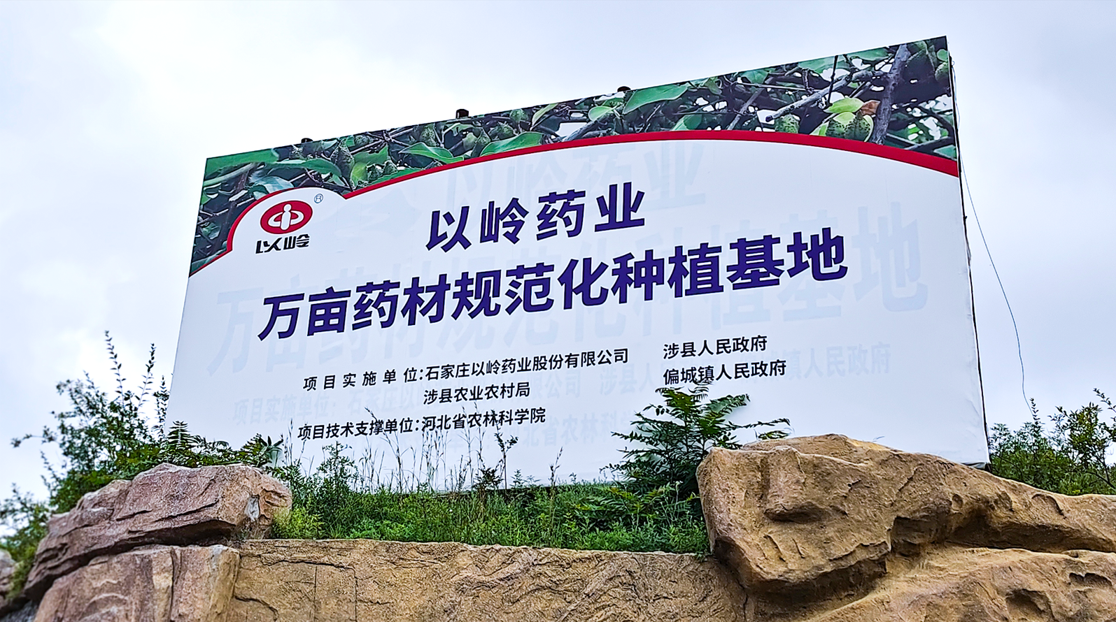 1787046733624463.png 官网2.png